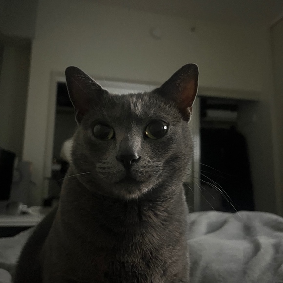 sleepsouljah